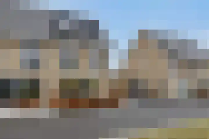 Speenkruid 16 Berghem thumbnail 49