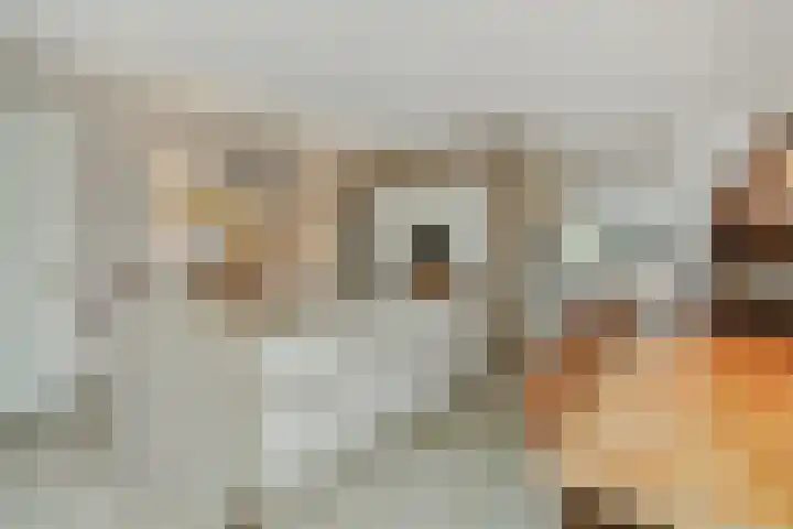 Speenkruid 16 Berghem thumbnail 5