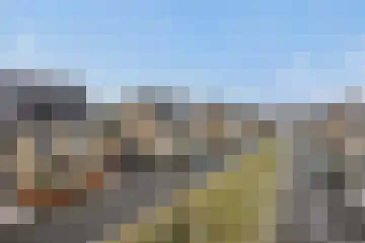 Speenkruid 16 Berghem thumbnail 50