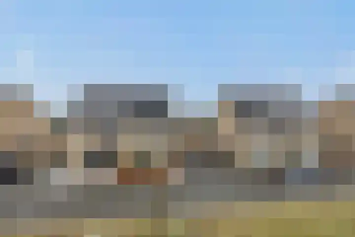 Speenkruid 16 Berghem thumbnail 51