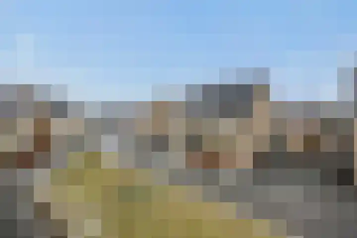 Speenkruid 16 Berghem thumbnail 52