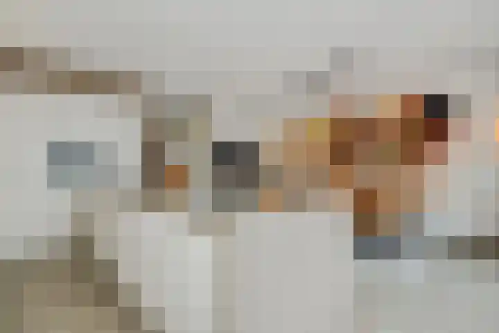 Speenkruid 16 Berghem thumbnail 6