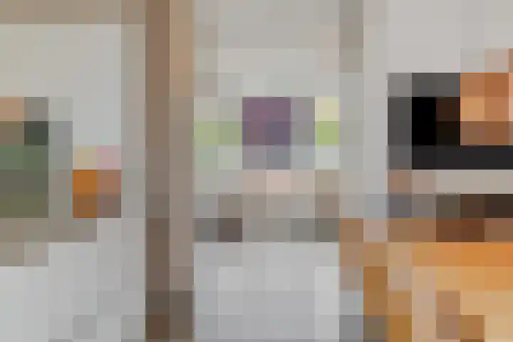 Speenkruid 16 Berghem thumbnail 8