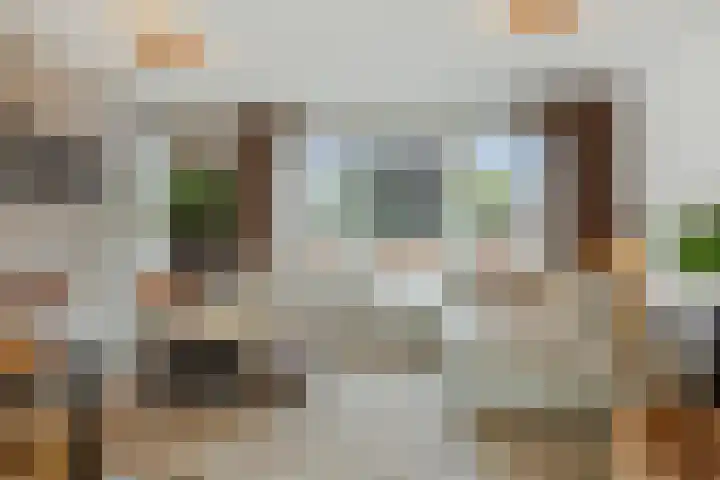 Speenkruid 16 Berghem thumbnail 9