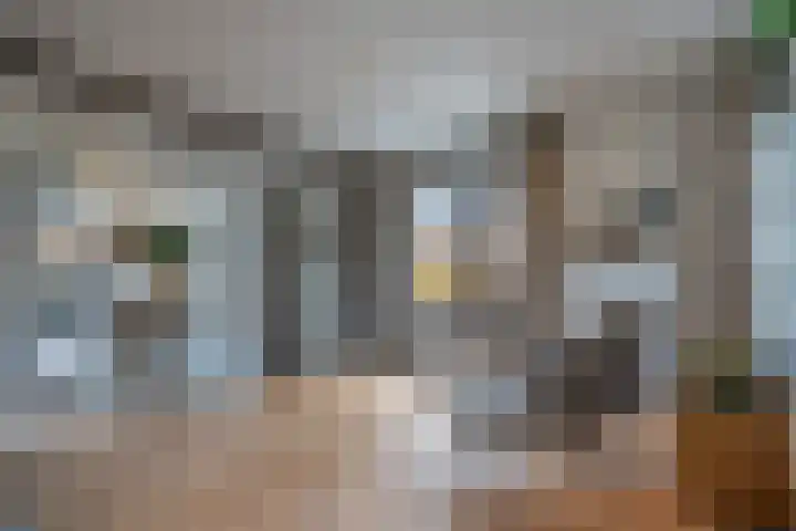 Speenkruid 16 Drachten thumbnail 10