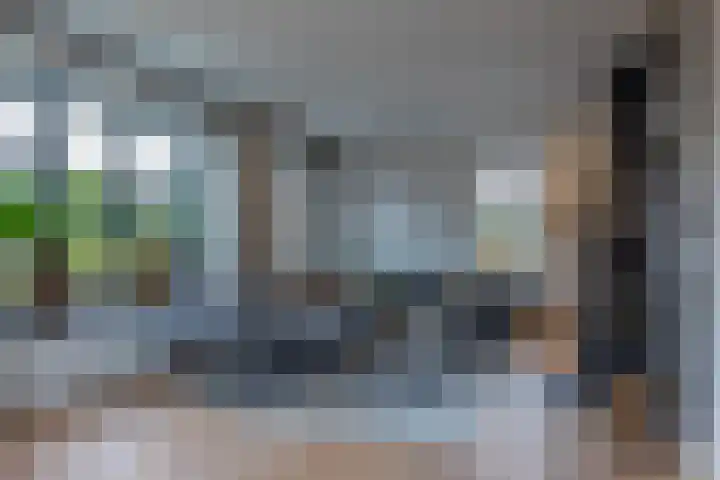 Speenkruid 16 Drachten thumbnail 12