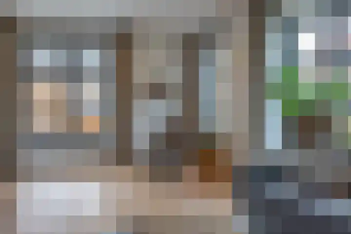 Speenkruid 16 Drachten thumbnail 14
