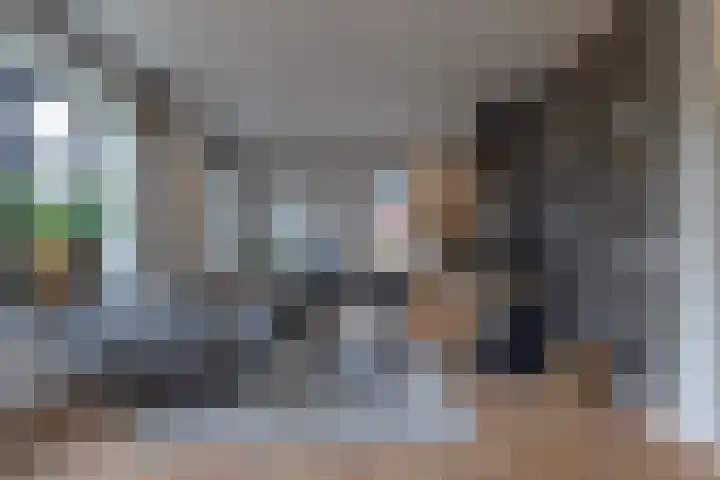 Speenkruid 16 Drachten thumbnail 15