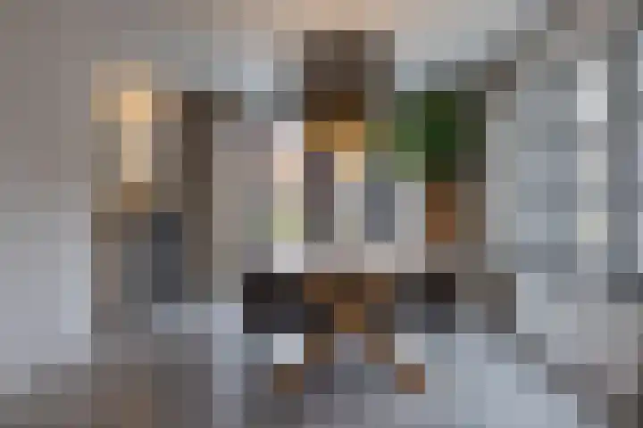 Speenkruid 16 Drachten thumbnail 16