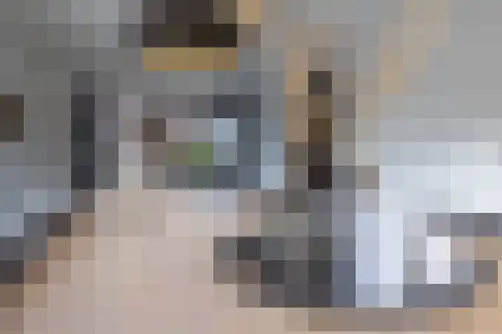 Speenkruid 16 Drachten thumbnail 17