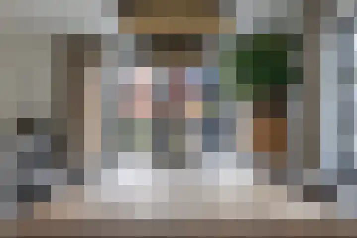 Speenkruid 16 Drachten thumbnail 18