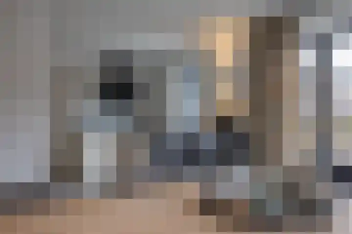 Speenkruid 16 Drachten thumbnail 20
