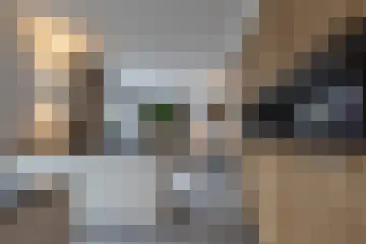Speenkruid 16 Drachten thumbnail 21