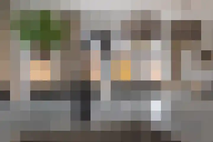 Speenkruid 16 Drachten thumbnail 26