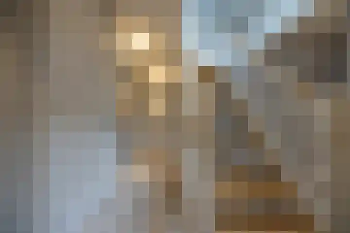 Speenkruid 16 Drachten thumbnail 30