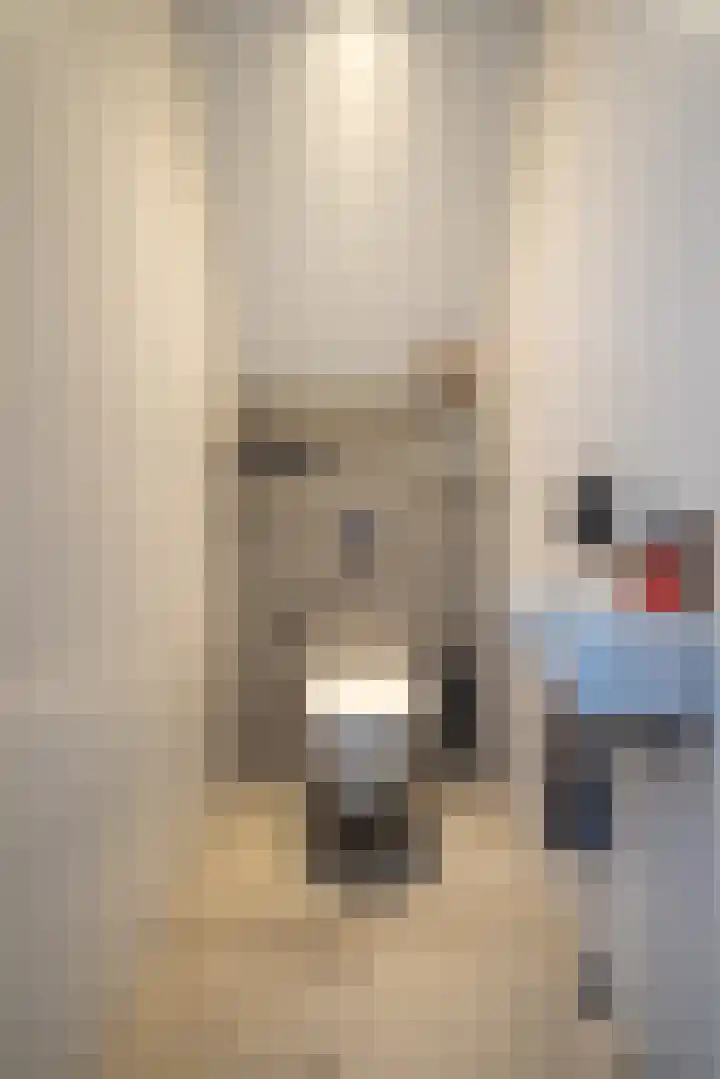 Speenkruid 16 Drachten thumbnail 32