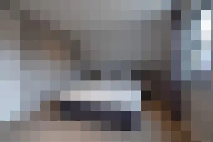 Speenkruid 16 Drachten thumbnail 33