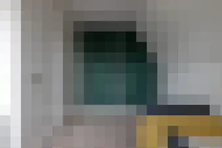 Speenkruid 16 Drachten thumbnail 38