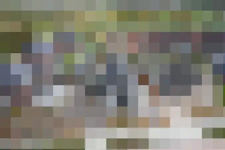 Speenkruid 16 Drachten thumbnail 4