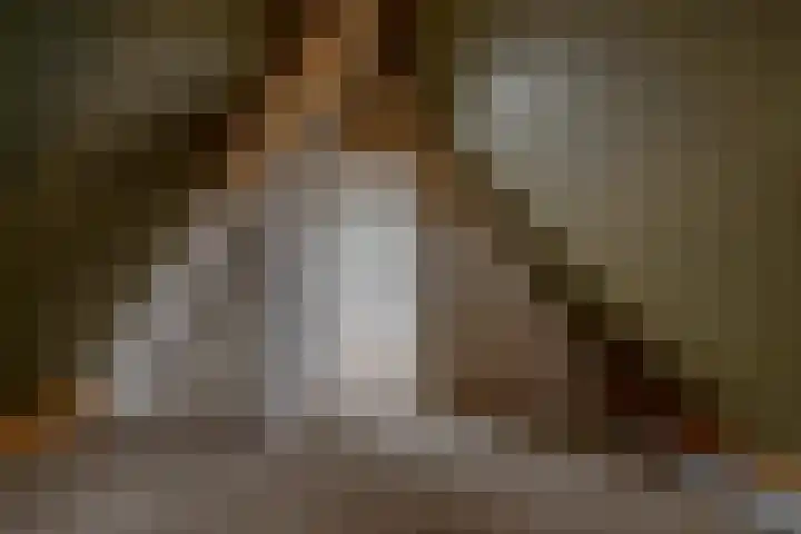 Speenkruid 16 Drachten thumbnail 47