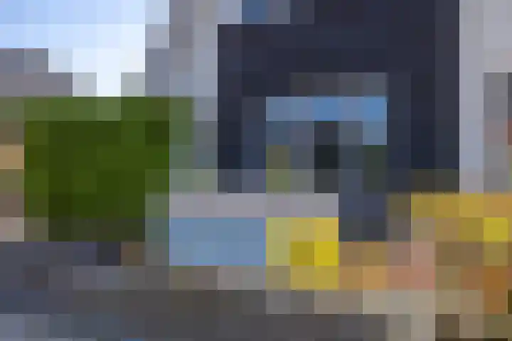 Speenkruid 16 Drachten thumbnail 5