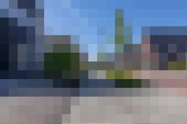 Speenkruid 16 Drachten thumbnail 50