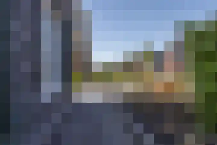 Speenkruid 16 Drachten thumbnail 51