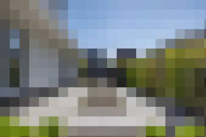 Speenkruid 16 Drachten thumbnail 52