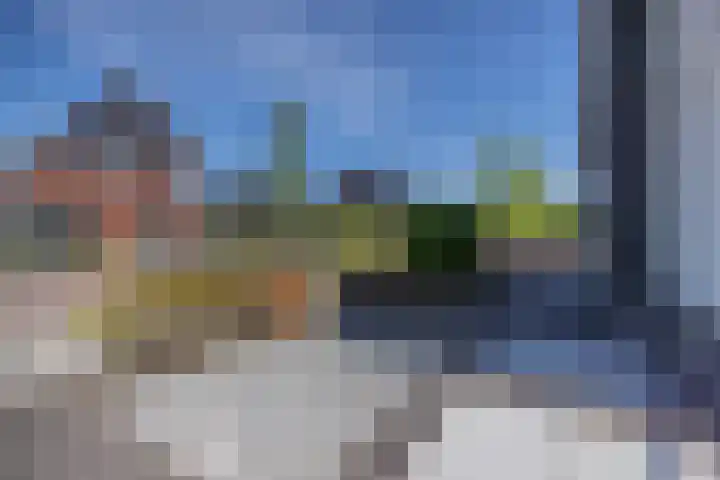 Speenkruid 16 Drachten thumbnail 53
