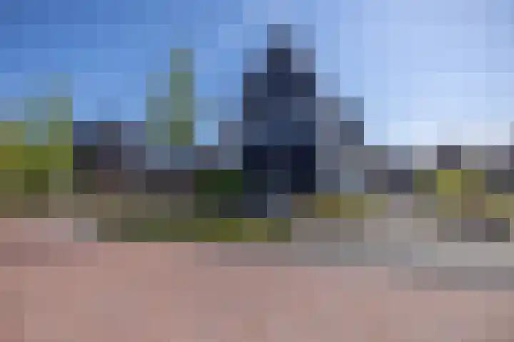 Speenkruid 16 Drachten thumbnail 54