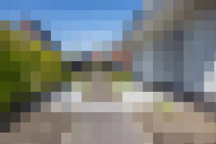 Speenkruid 16 Drachten thumbnail 57