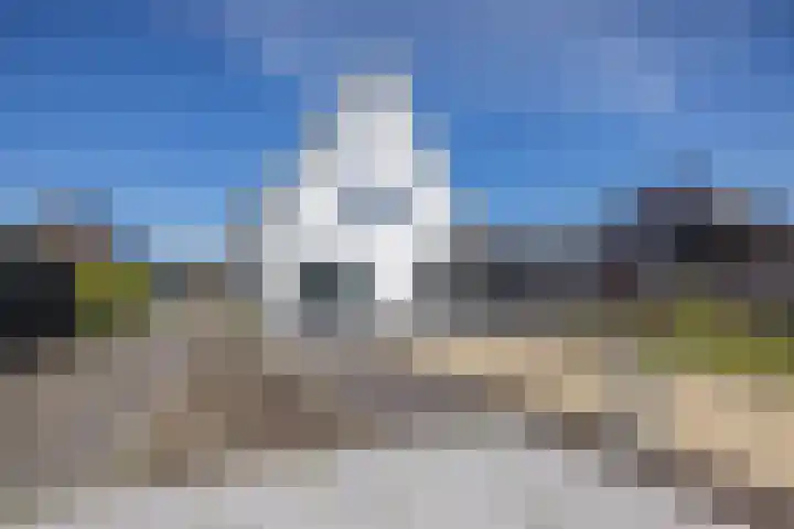 Speenkruid 16 Drachten thumbnail 58