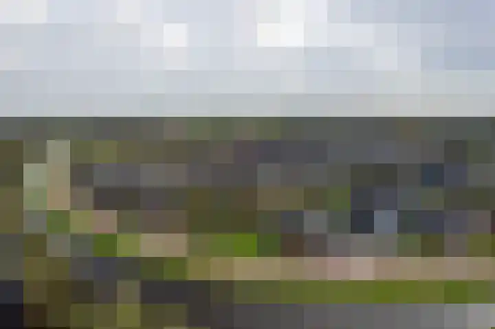 Speenkruid 16 Drachten thumbnail 6