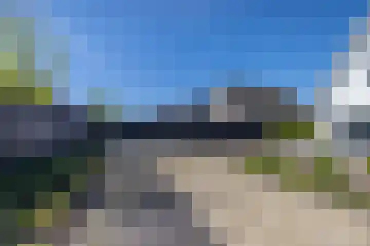 Speenkruid 16 Drachten thumbnail 60