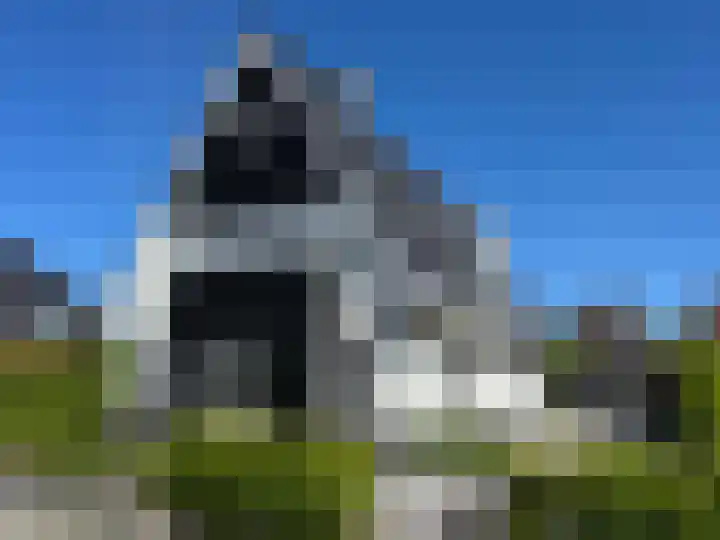 Speenkruid 16 Drachten thumbnail 63