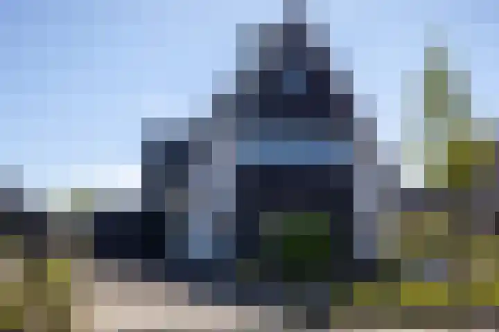 Speenkruid 16 Drachten thumbnail 65