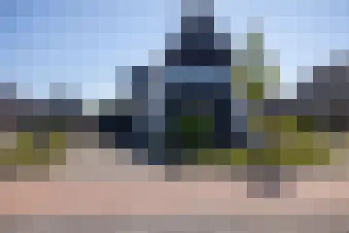 Speenkruid 16 Drachten thumbnail 66