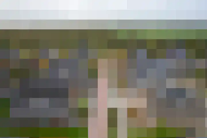 Speenkruid 16 Drachten thumbnail 67