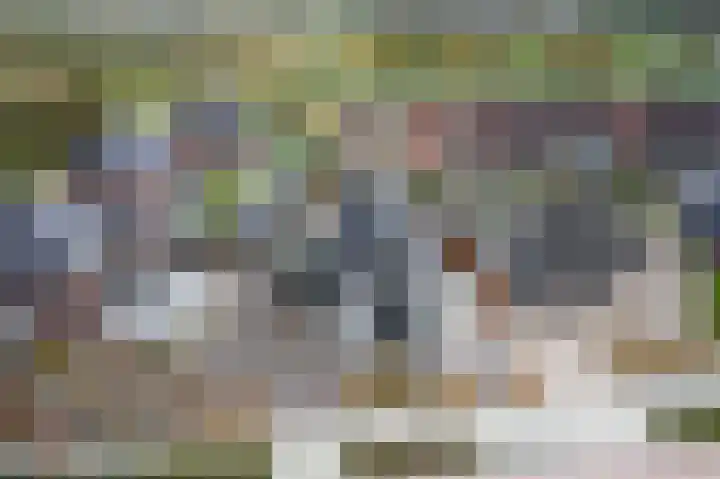 Speenkruid 16 Drachten thumbnail 68