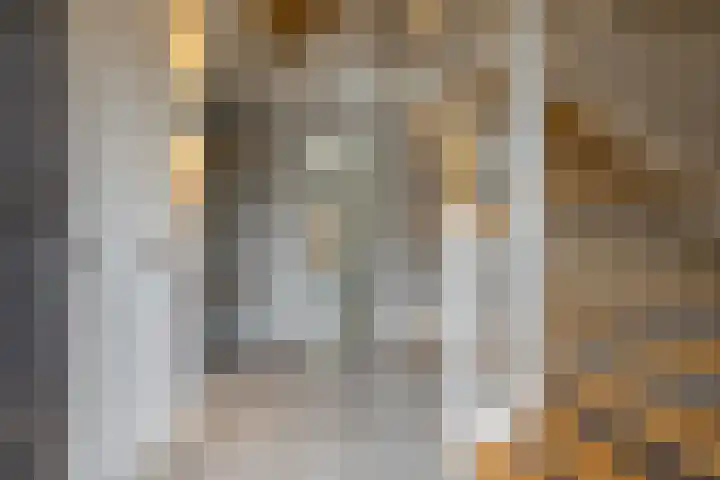 Speenkruid 16 Drachten thumbnail 7