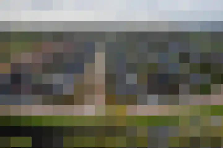 Speenkruid 16 Drachten thumbnail 70