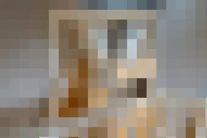 Speenkruid 16 Drachten thumbnail 8