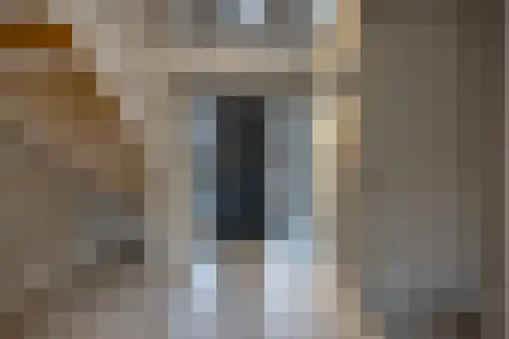 Speenkruid 16 Drachten thumbnail 9