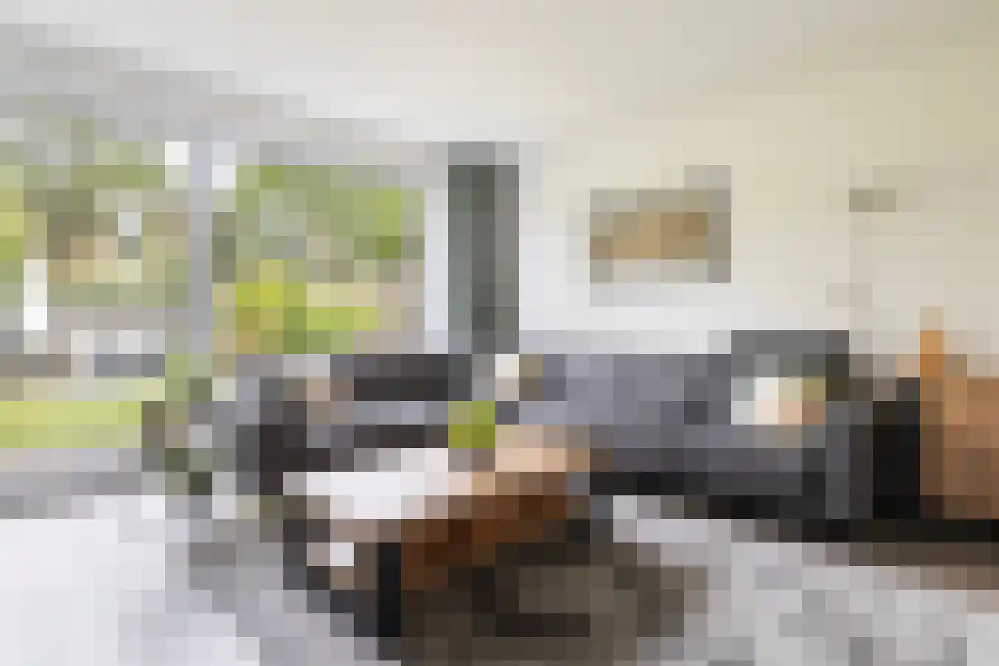 Speenkruid 19 Leeuwarden thumbnail 13