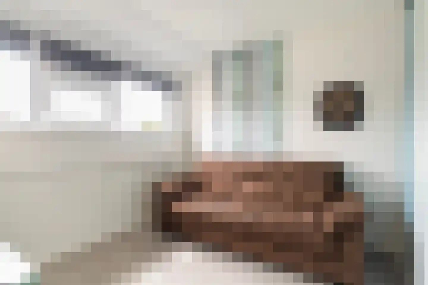 Speenkruid 19 Leeuwarden thumbnail 26