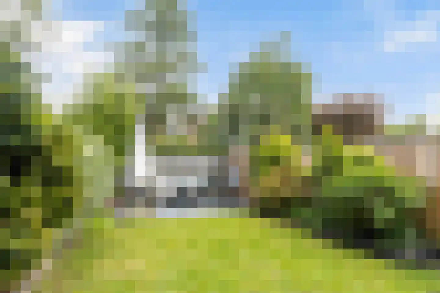 Speenkruid 19 Leeuwarden thumbnail 38