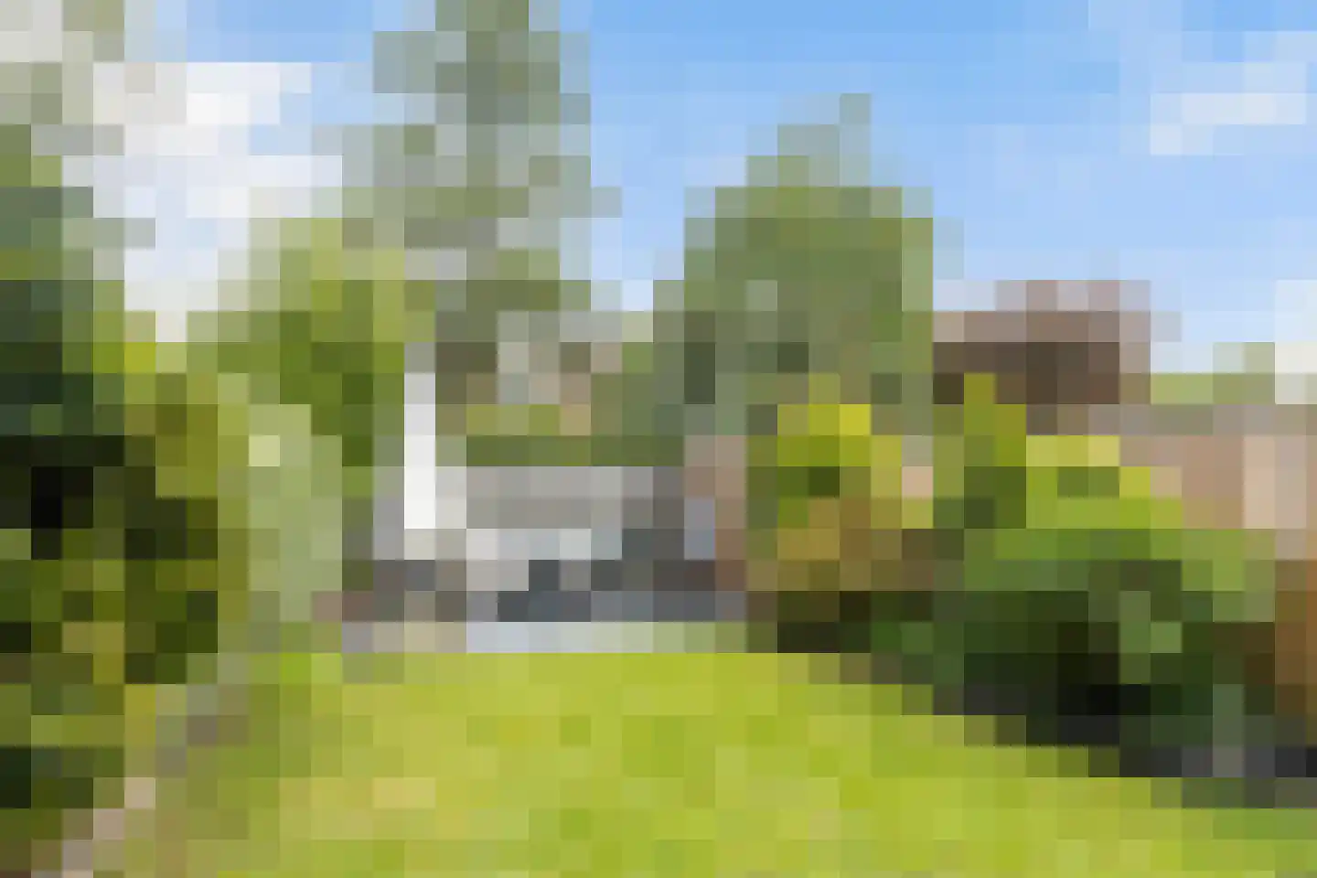 Speenkruid 19 Leeuwarden thumbnail 4
