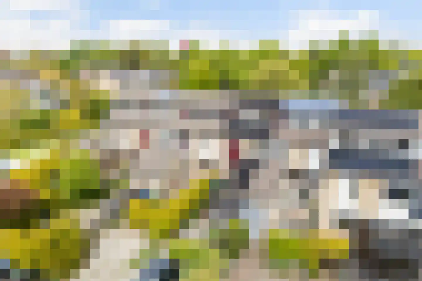 Speenkruid 19 Leeuwarden thumbnail 41