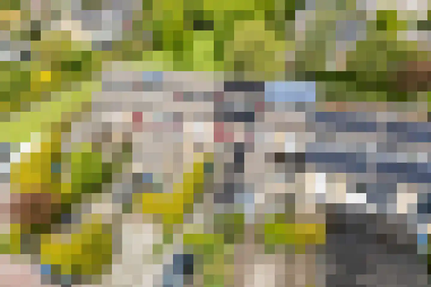 Speenkruid 19 Leeuwarden thumbnail 42