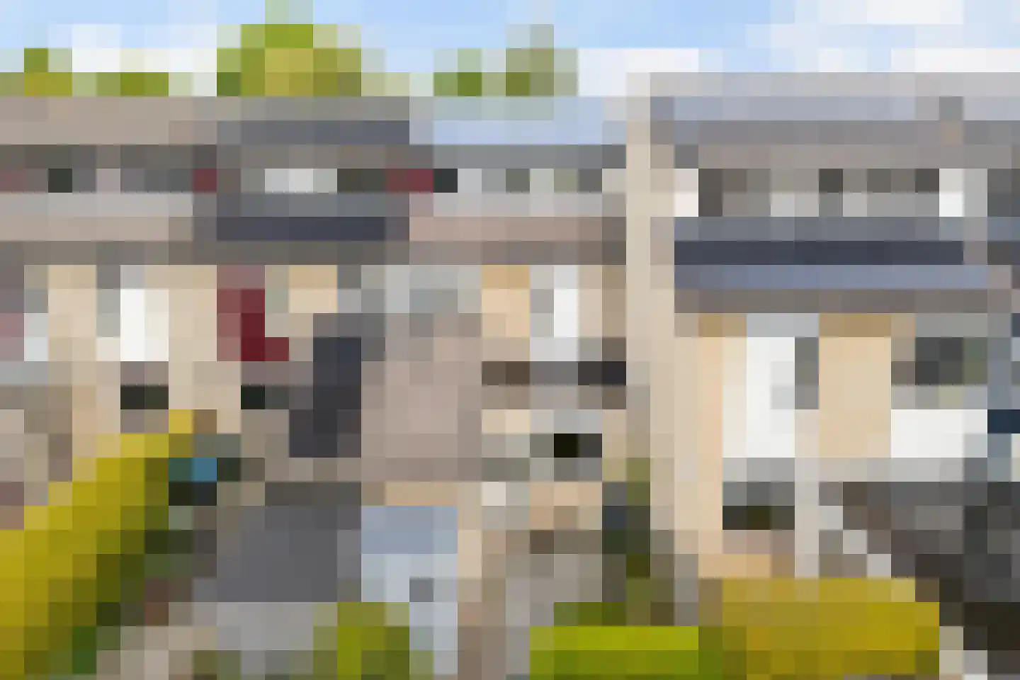 Speenkruid 19 Leeuwarden thumbnail 43